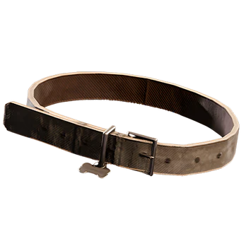 Dog Collar Arc Raiders