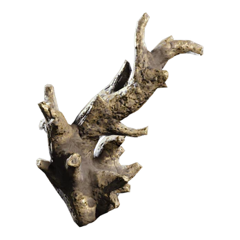 Fossilized Lightning