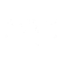 Deliver Functional Scout Ornithopters